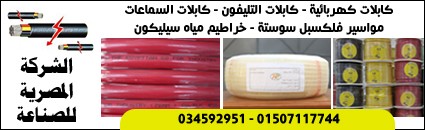 الشركة المصرية للصناعة
